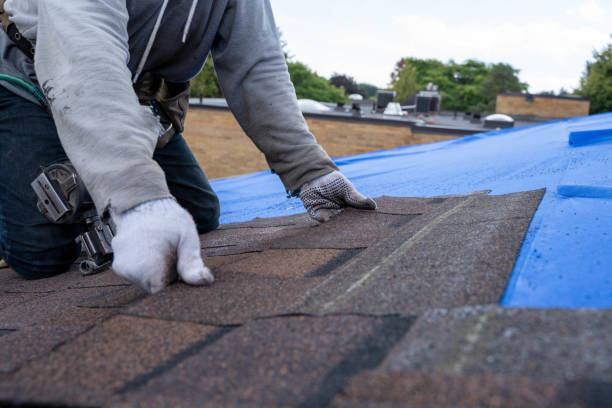 Best Storm Damage Roof Repair  in Montgomery, OH